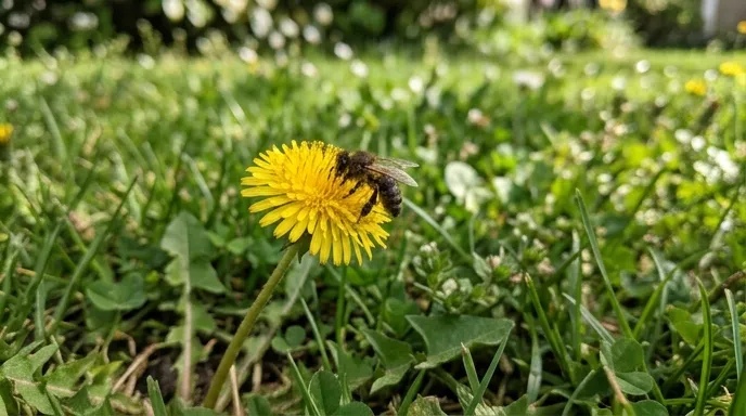 Bee on flower